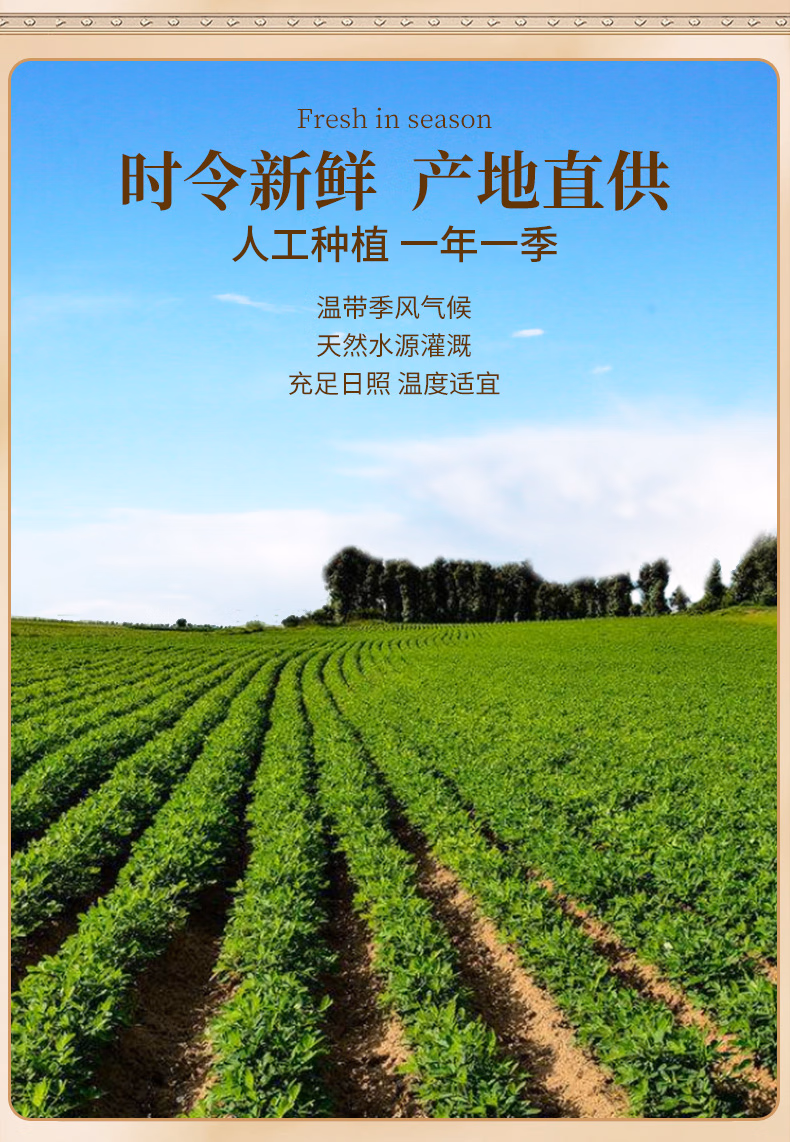 详情图.png