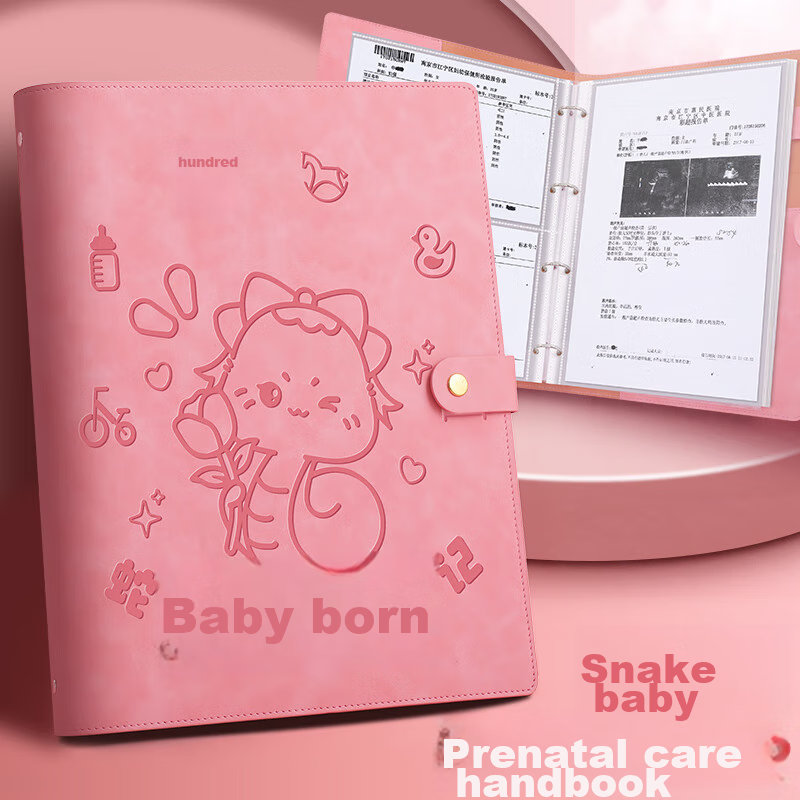 Jiaranheng Pregnancy Check-Up Organizer, Prenatal Report Folder, Maternity Pregnancy Record Book, File Storage Bag, Ultrasound Examination Form, Document Organizer, Large Capacity Collection Book, Pink