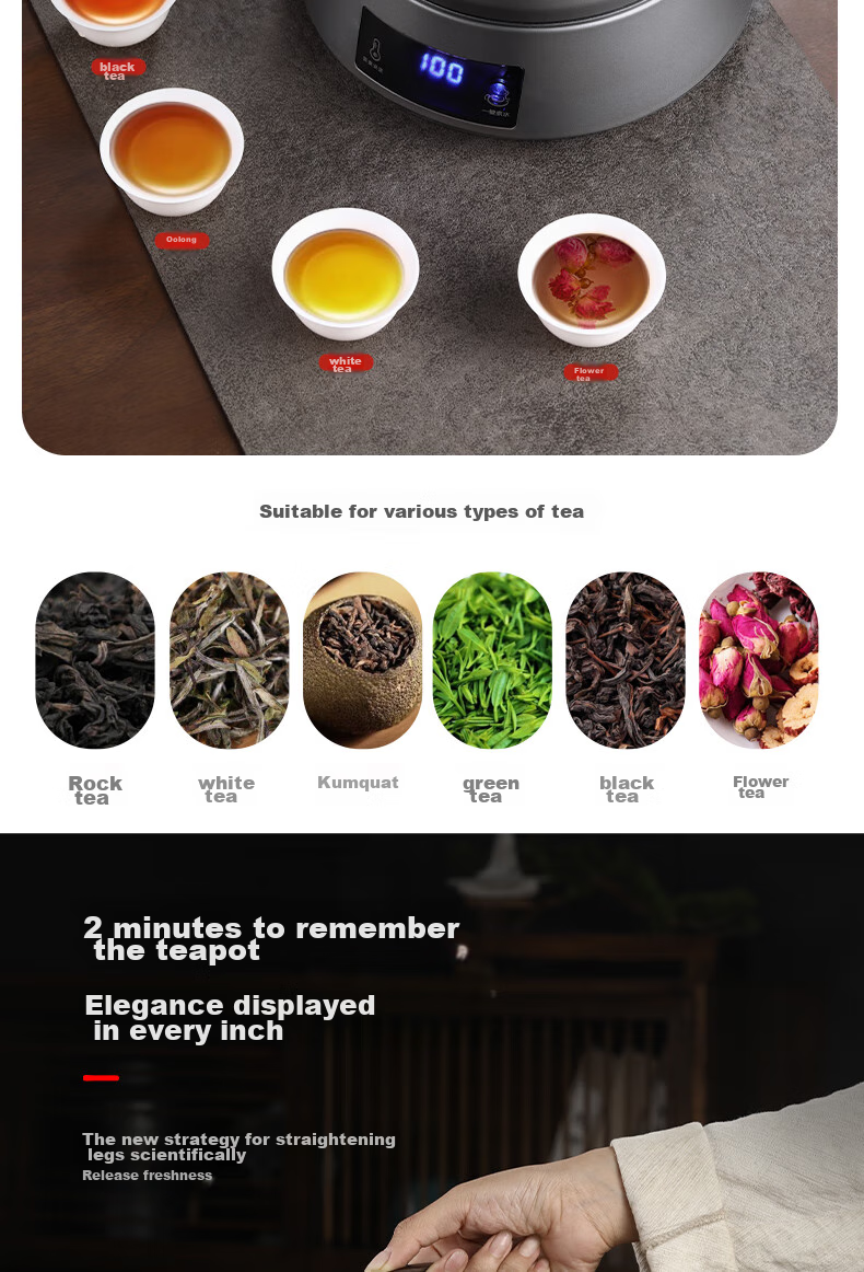 Biooner Fully Automatic Electric Kettle Water Boiler Tea Maker with Integrated Tea Table And Coffee Table for Brewing Tea And Coffee, Titanium Gray with Handle Steel Pot 12