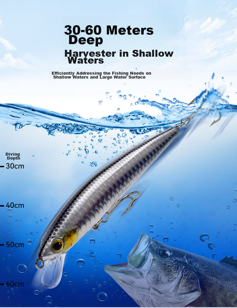Guowangliya, Suspended Shadow Hovering Minnow Long-Casting Lure, Topmouth Culter Bait, 6.5g-80mm, LN05 2