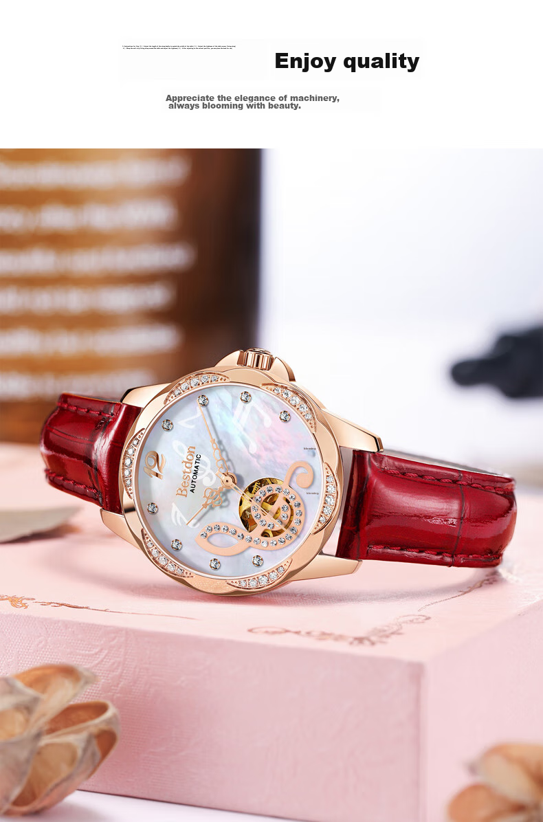 Bestdon Ladies' Watch Brand, Top Ten Famous Watches, Fully Automatic Mechanical Wristwatch, Light Luxury Gift Box, Gift for Women, Gift for Girlfriend 10