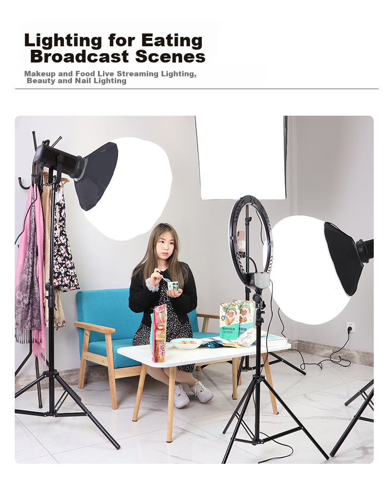Hakutatz LG-300W Deep Softbox Kit, Live Streaming Fill Light, Professional Photography Lighting, Soft Sunlight Lamp, Continuous Light, Children's Portrait Photography, Video Portrait, Streamer Clothing Light Box Equipment 18