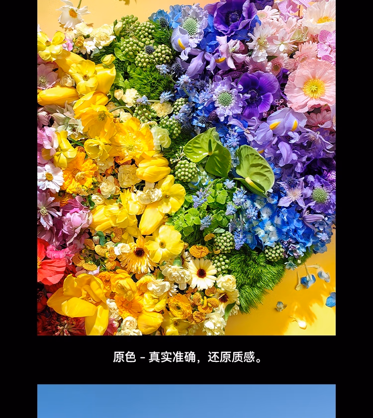 https://img30.360buyimg.com/sku/jfs/t1/158079/20/22890/267975/641dae39Ffe288e11/fb3ea107f2217784.jpg.avif