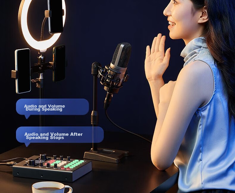 Feilipu Mobile And Computer Compatible Live Streaming Sound Card Bluetooth Accompaniment Professional Live Streaming Equipment Plug And Play Live Recording DLM3025C Sound Card + Handheld Microphone Complete Set 22