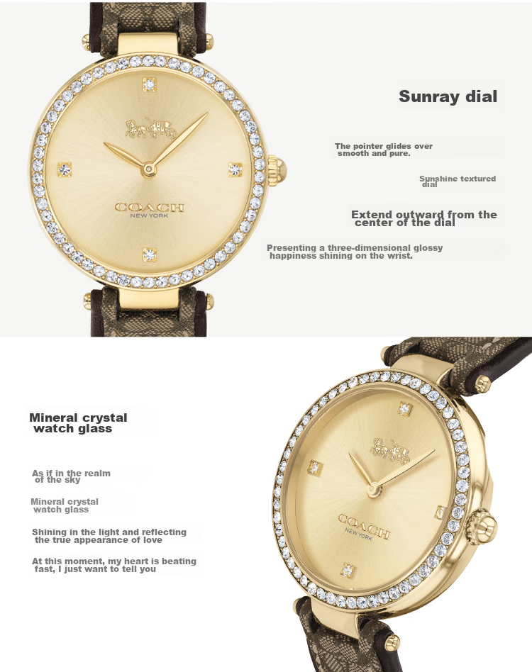COACH PARK Series, Leather Strap Quartz Women's Watch, 14503456, Gift/giving 7