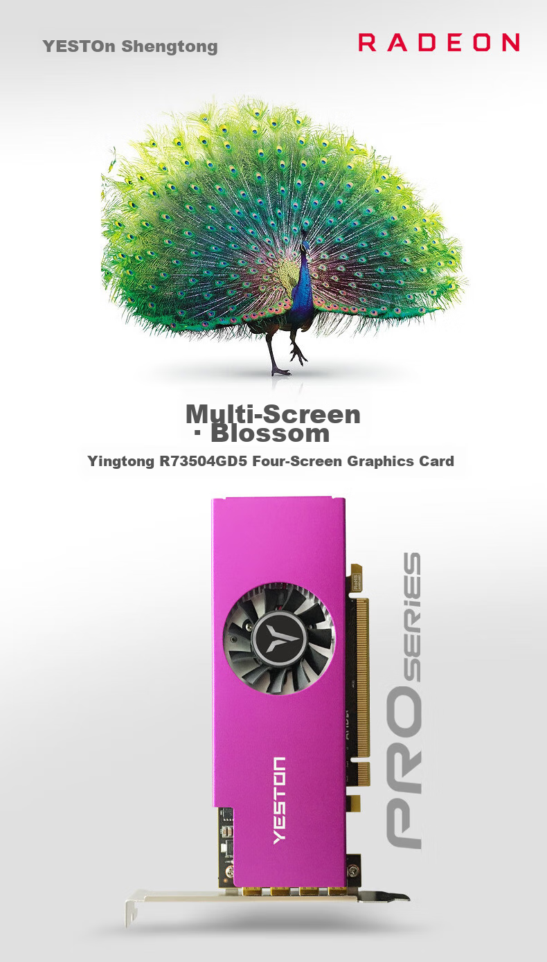 Yeston R7 350 2GB 6 HDMI, Six-Screen Graphics Card, Professional Multi-Screen Display Card, Multi-Screen Display, Splendid Performance 1