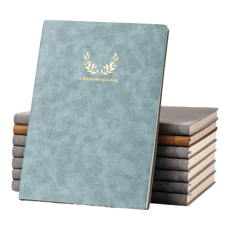Deli B5 Lambskin Notebook, Leather Cover Journal, Fashionable Printed Series, 120 Sheets BP104 (Sky Blue)