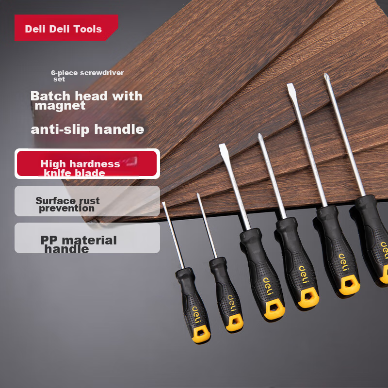 Deli Screwdriver Set with Magnetic Bits, 6-Piece Repair Tool Kit Including Flathead And Phillips Screwdrivers