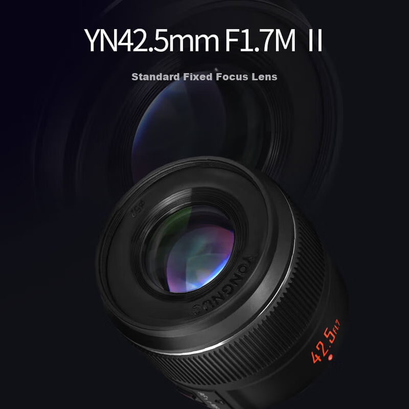 YONGNUO M43 Mirrorless Camera, Panasonic Olympus Large Aperture Auto Prime Lens for Portrait And Street Photography