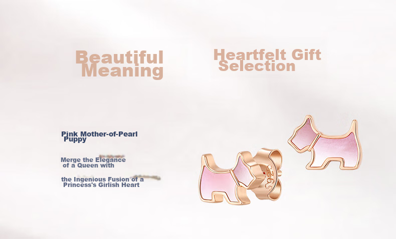AGATHA Colorful Destiny Light Luxury Silver Stud Earrings for Women, New Year Birthday Gift for Girlfriend, Elegant Earrings 2