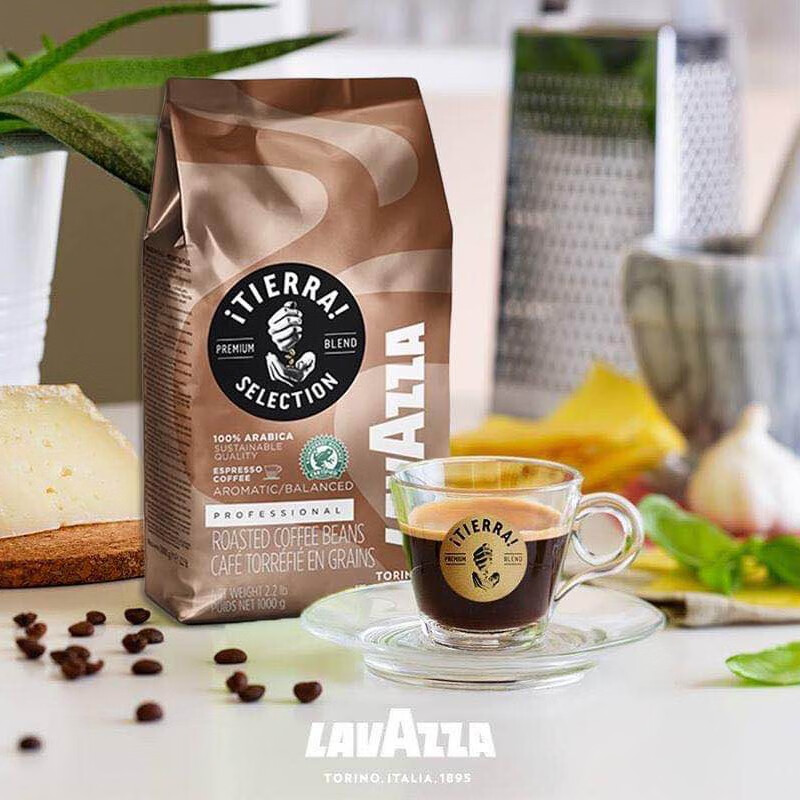 拉瓦萨（LAVAZZA）意大利大地系列咖啡豆雨林联盟认证 大地特醇精选咖啡豆1kg