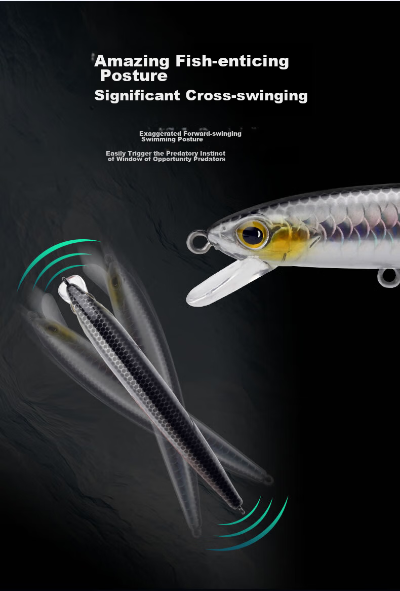 Guowangliya, Suspended Shadow Hovering Minnow Long-Casting Lure, Topmouth Culter Bait, 6.5g-80mm, LN05 6