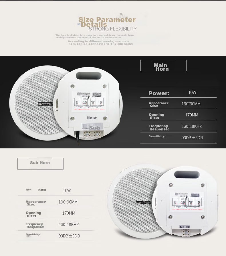 SAST 20W Wireless Bluetooth Ceiling Speaker Set with Built-In Amplifier for Indoor Background Music, Home Living Room, Store Audio System, Conference Broadcast System, Main Speaker 5