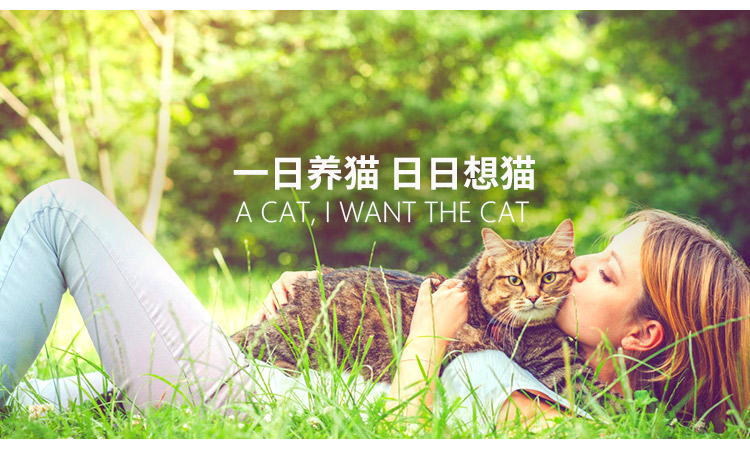 品牌图750.jpg
