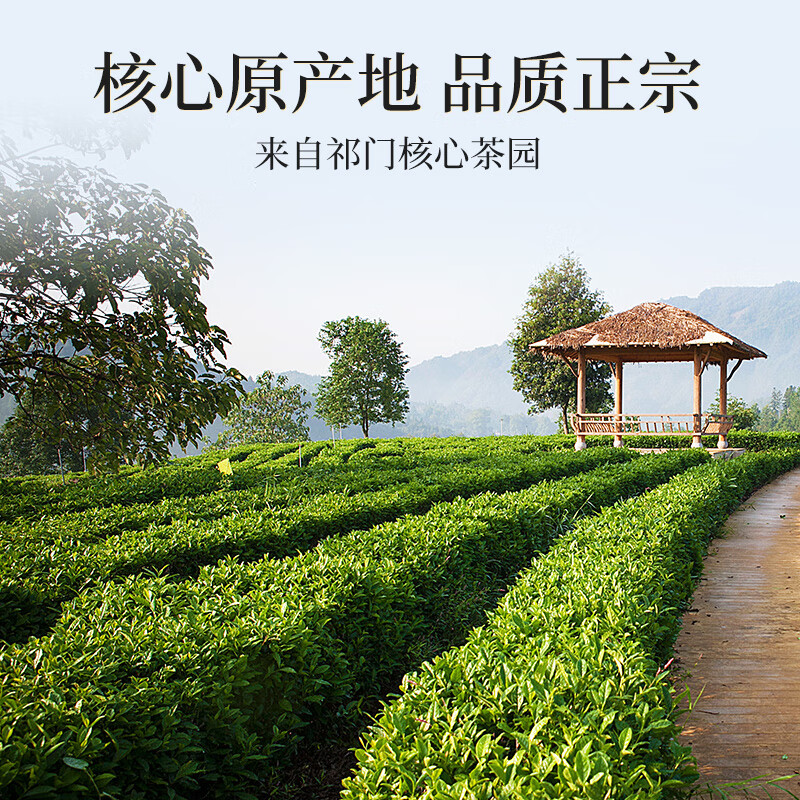 祥源茶红茶 祁红香螺 祁门红茶特级浓香型116g罐装正宗茶叶自己喝送礼品