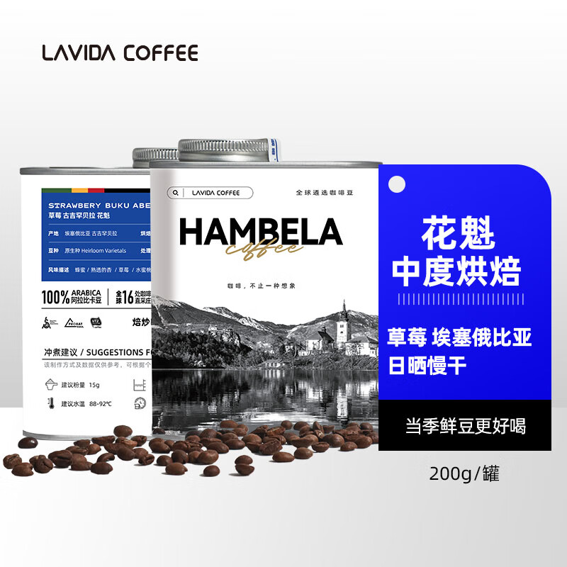 A SOUL ROOT埃塞俄比亚花魁咖啡豆罐装手冲单品中度烘焙200g