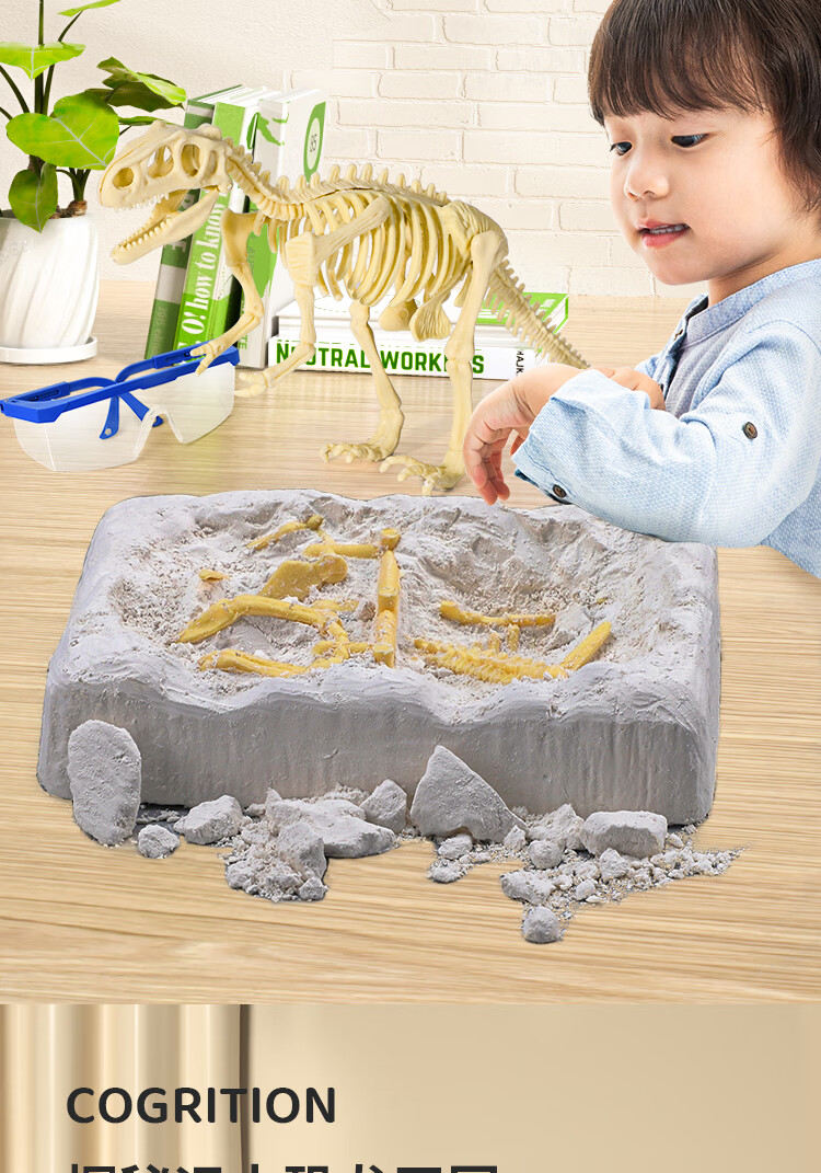 Guou Children's Toy, Archaeological Excavation, Dinosaur Egg Fossil, DIY Handmade, Glow-In Blind Box, Children's Birthday Gift 3