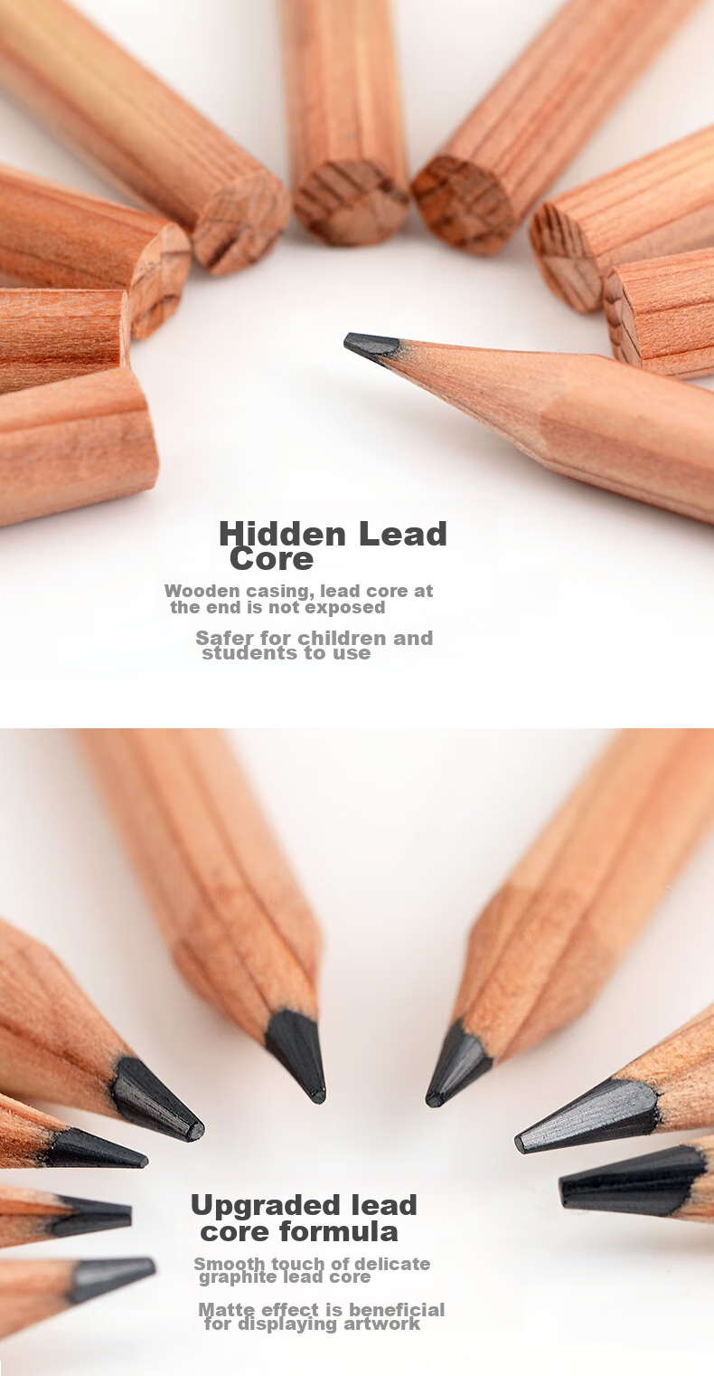[Lowest Price Online] MARCO (MARCO) Pencils 12-Pack, Original Wood Professional Art HB Sketch Hexagonal Shaft Drawing Pencil with Paper Box, for Students Beginners Exams Drawing Specialized 7001-HB Sketching Markers for Painting 5