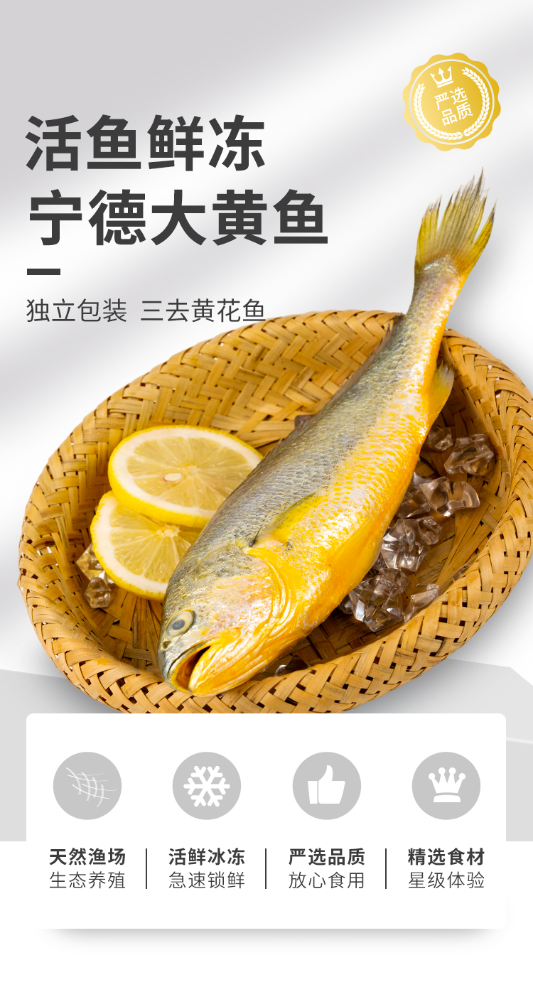 【九大洲大黄鱼】九大洲 深海速冻宁德大黄花鱼1000g/2条装 生鲜 鱼类
