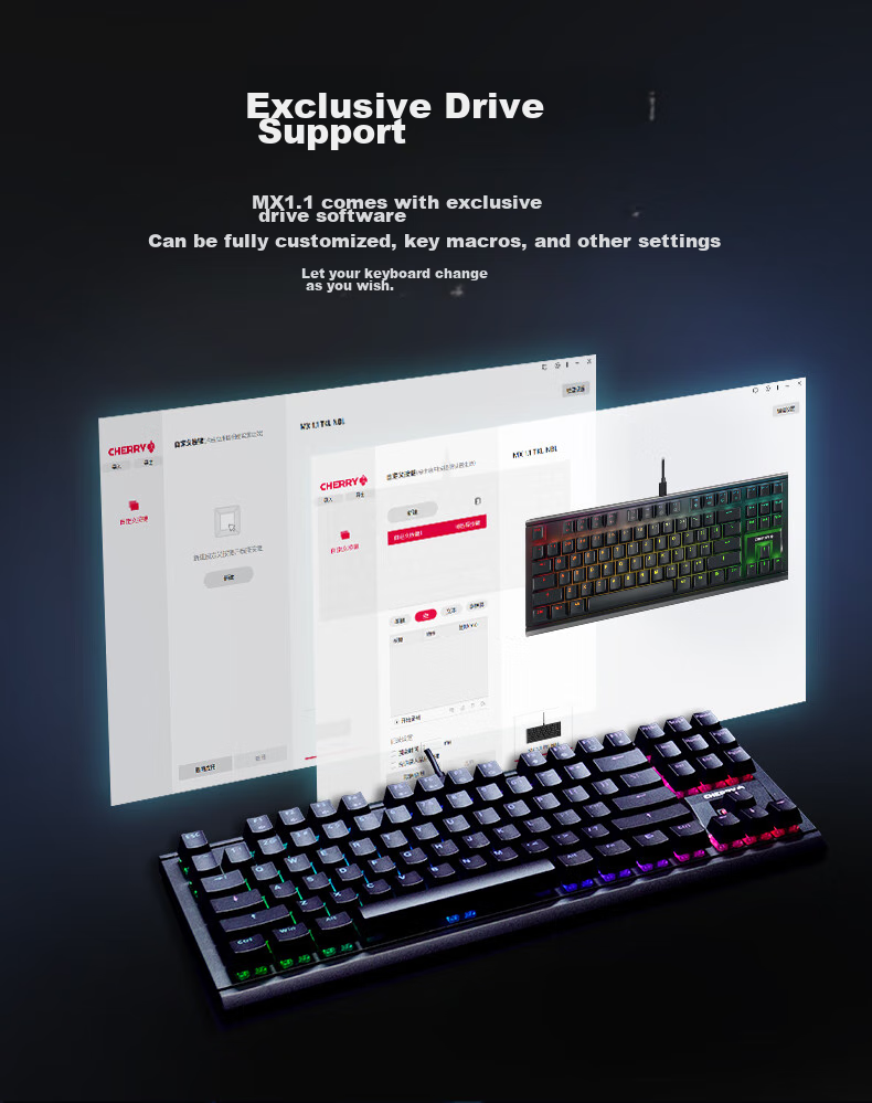 CHERRY MX1.1 Black Obsidian Aurora Mechanical Keyboard, 87 Keys, Gaming Keyboard, Wired Keyboard, Floating Design without Steel Structure, RGB Lighting Effects, Black Red Switches 12