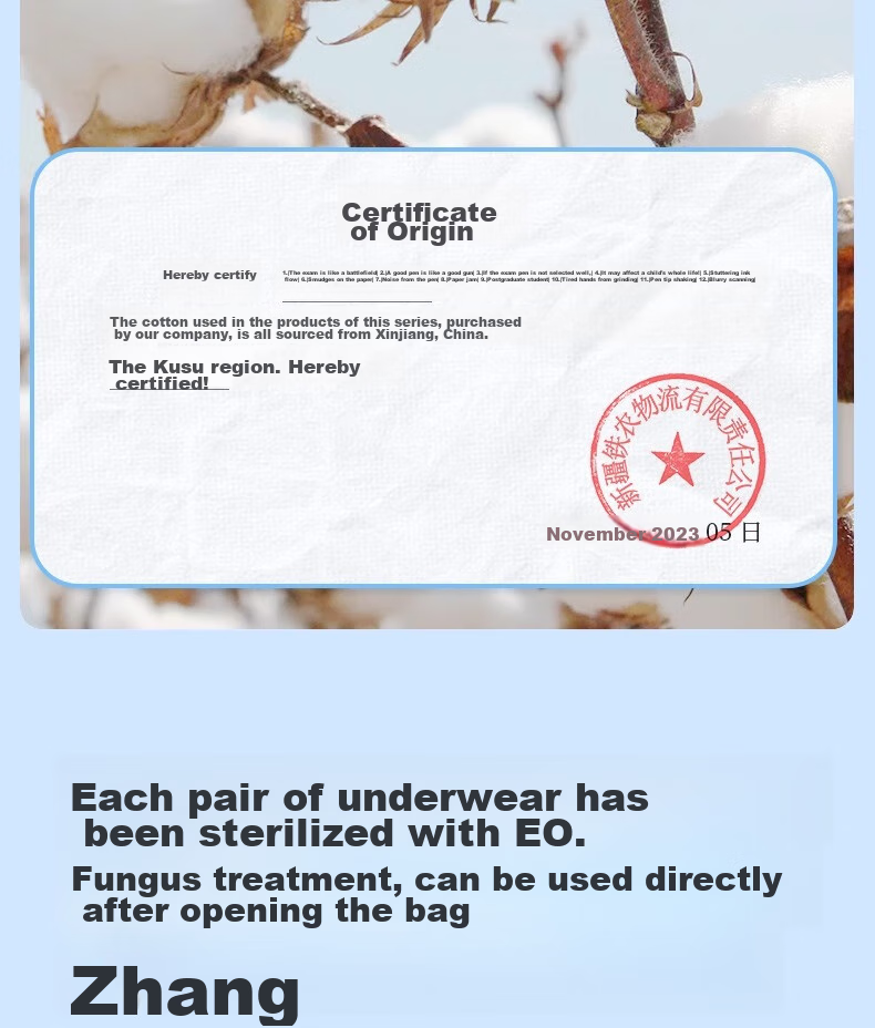 CHUYISHENG Disposable Underwear, Large Size for Women, 200 Jin, Sterilized Daily Disposable, Postpartum Antibacterial, Maternity Plus Size for 300 Ji 9