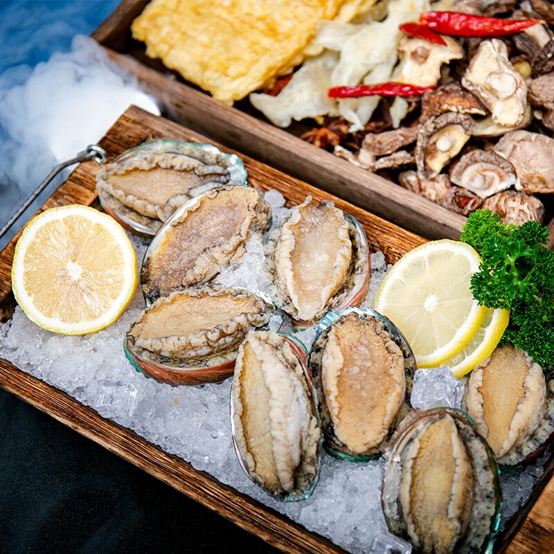 江船长冷冻大鲍鱼 净重400g 10粒袋装 火锅食材 贝类生鲜