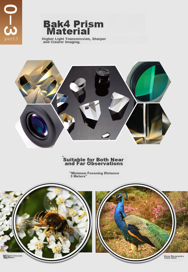BOSMA Binoculars, High-Definition, High-Magnification, Adult Low-Light Night Vision, Portable Hummingbird 10X42ED Micro-Prism Field 6