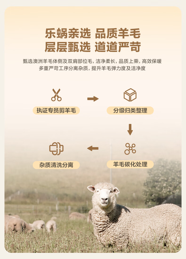 LOVO Luolai Home Textiles, 100% Australian Wool All-Season Comforter, 5 Jin (2.5 Kg), 220*240cm, White 7