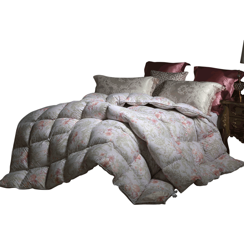 Shuixingjiafang down Comforter, 95% White Goose Down, Winter Thickened Duvet, Double Size, 220×240cm, Approximately 5.5 Ji