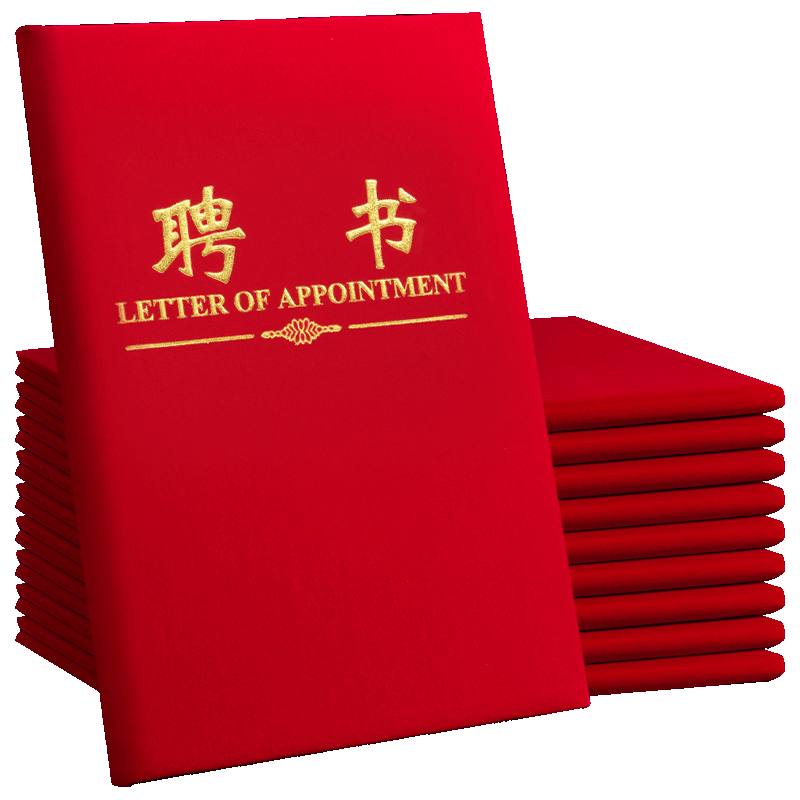 DSB (Disbi) [10-Pack] 6K Appointment Letter Certificate Cover Company Employee Award Certificate Gold-Stamped Classic Style (With 20 Inner Pages) 050820