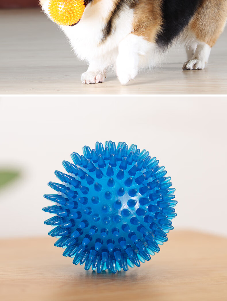 宜特(eetoys)小号刺球蓝色狗狗玩具趣味发声磨牙耐咬洁齿球独处解闷