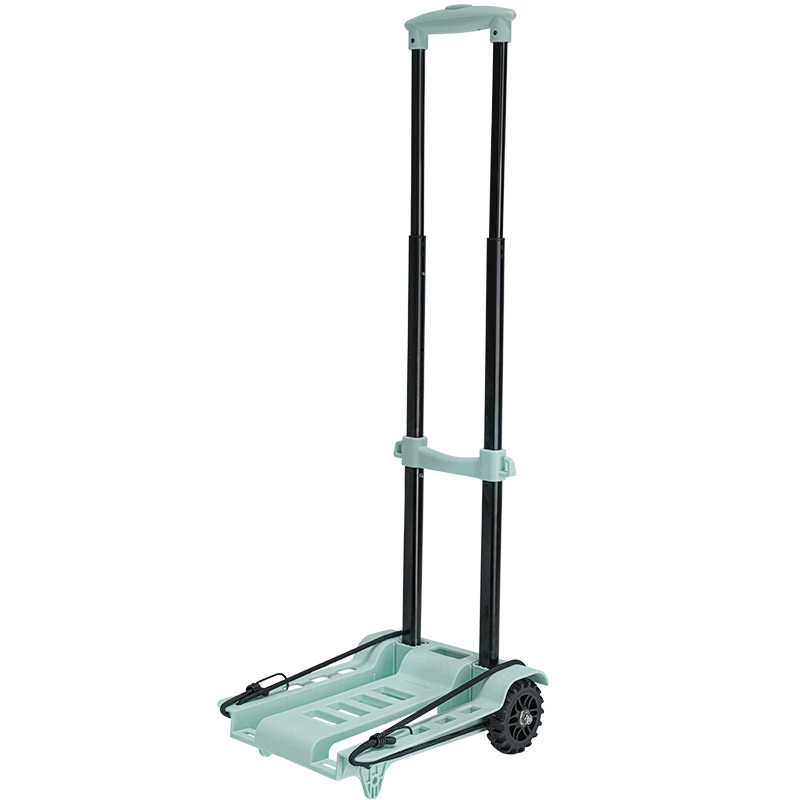 SELORSS Folding Hand Truck, Pull Cart, Trolley, Delivery Cart, Grocery Cart, Hand-Pushed Cart with 100kg Load Capacity, BY04-S Fresh Gree