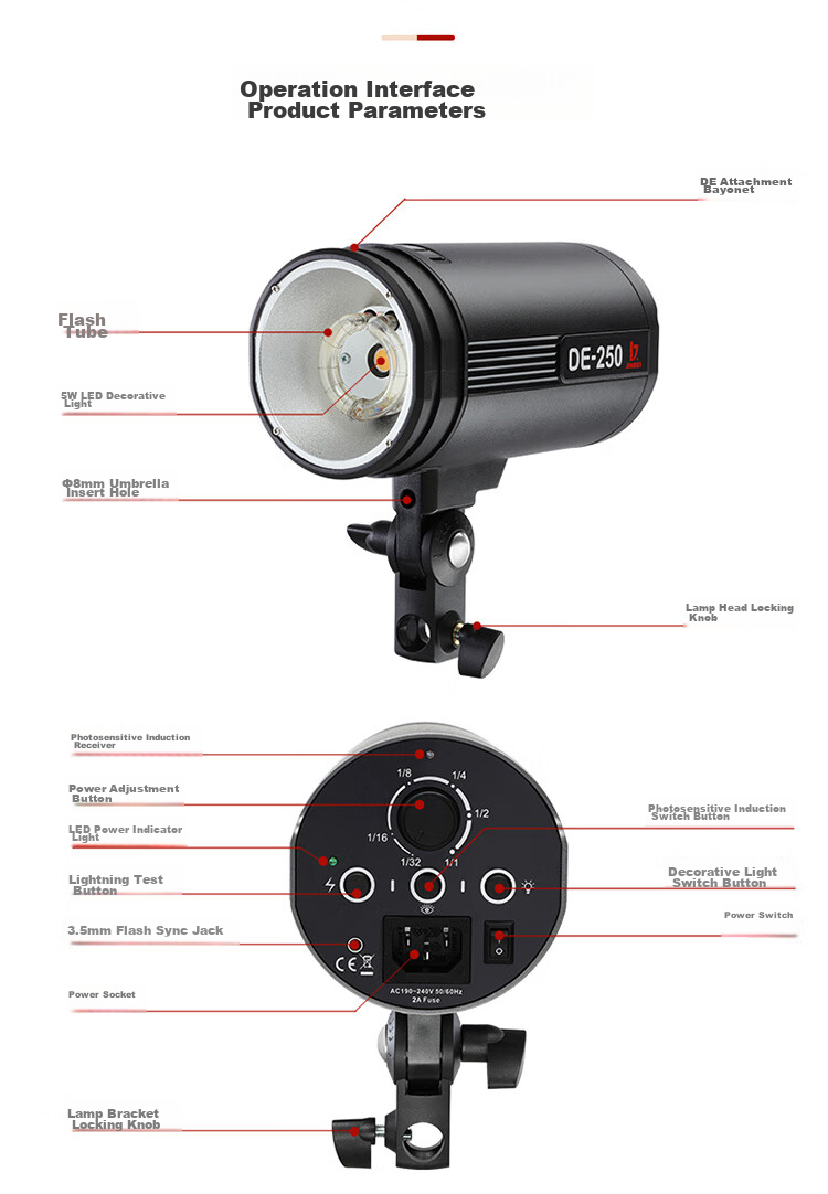 JINBEI DE-250w Photography Light Kit, Studio Fill Light, Studio Flash, Product for Still Life, Portrait, And Clothing Photography 6