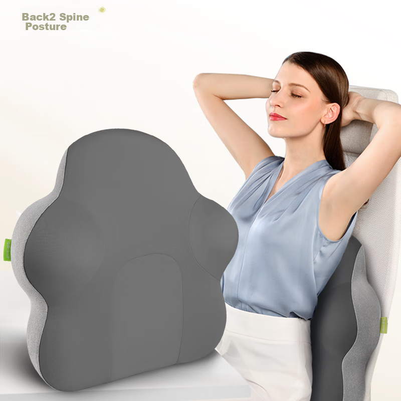 Back2 Lumbar Support, Office Ergonomic Back Cushion, Long-Sitting Aid, Car Pillow, Waist Pillow, Gray