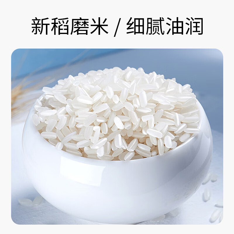 昊帅 长粒香米宁粳43号2025年新米正宗宁夏大米银川农家粳米真空10斤