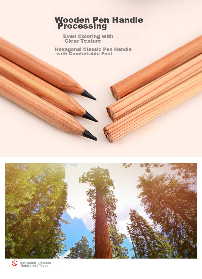 [Lowest Price Online] MARCO (MARCO) Pencils 12-Pack, Original Wood Professional Art HB Sketch Hexagonal Shaft Drawing Pencil with Paper Box, for Students Beginners Exams Drawing Specialized 7001-HB Sketching Markers for Painting 6
