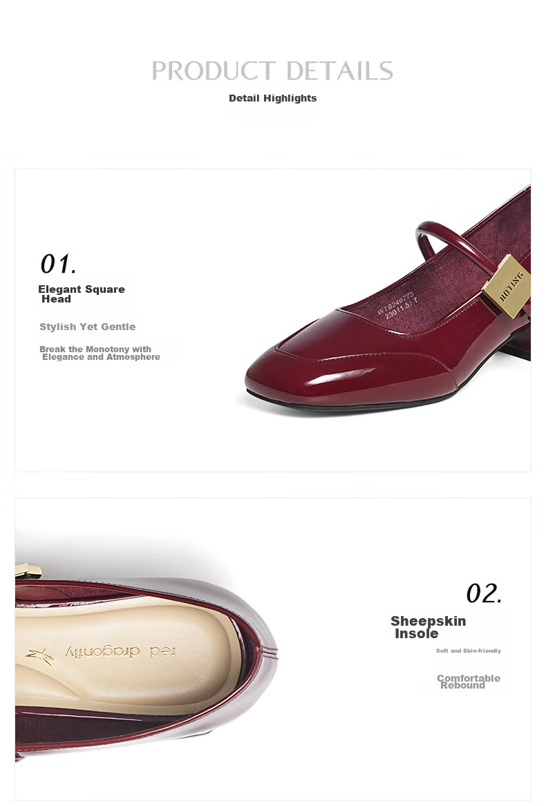 RED DRAGONFLY Mary Jane Shoes, Elegant French-Style Leather Shoes for Spring And Autumn, Chunky Heel Women's Pumps, WTB24677, Black, Size 39 7