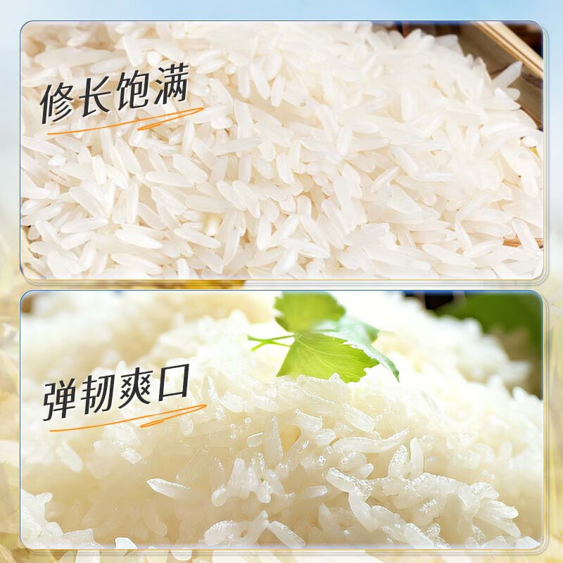 KO-KO泰国茉莉香米 大米10斤 原装进口 长粒米 koko泰国香米 (口口牌)