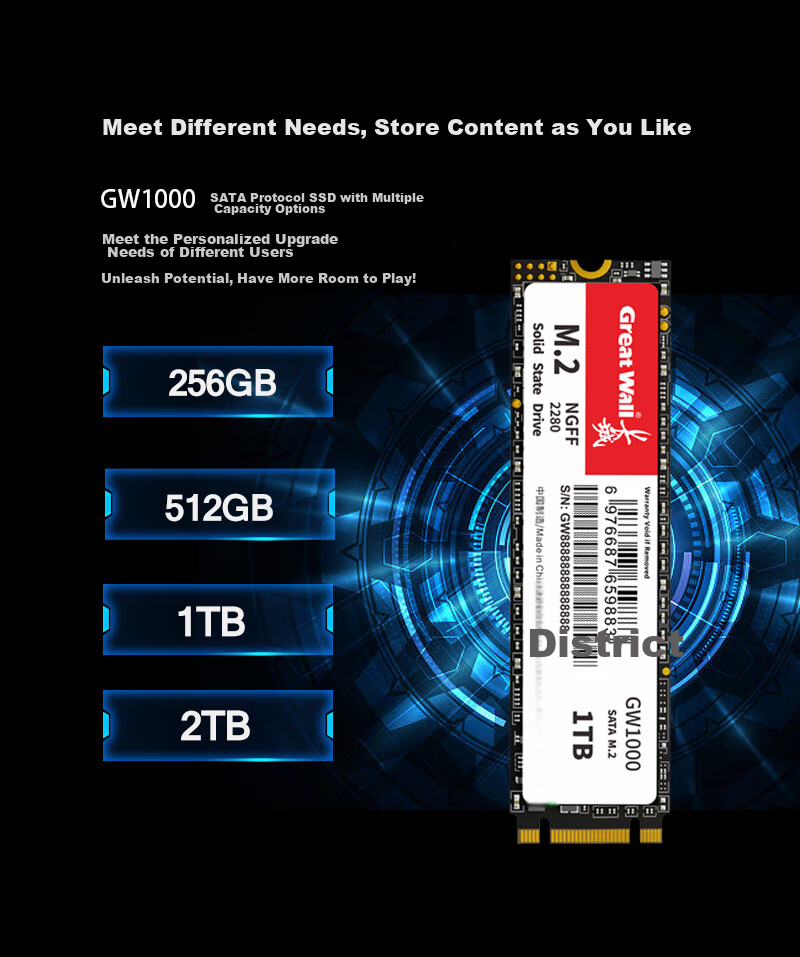 Great Wall 256GB SSD Solid State Drive, M.2 Interface SATA Protocol, Read Speed 540MB/s, GW1000 Series 4