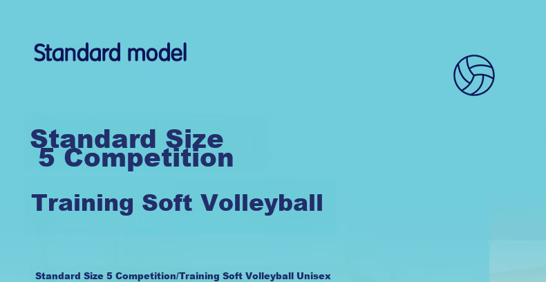 Deli Elementary School Volleyball, Size 4 Youth Exam Sports Elastic PU Wear-Resistant Training Volleyball 19