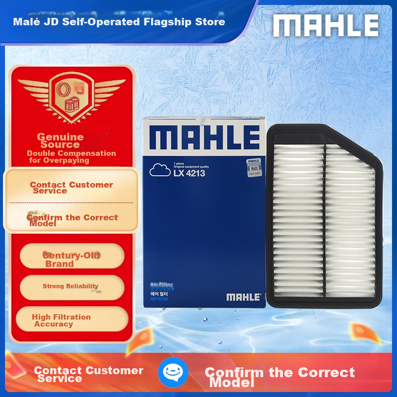 MAHLE (MAH-0110387
