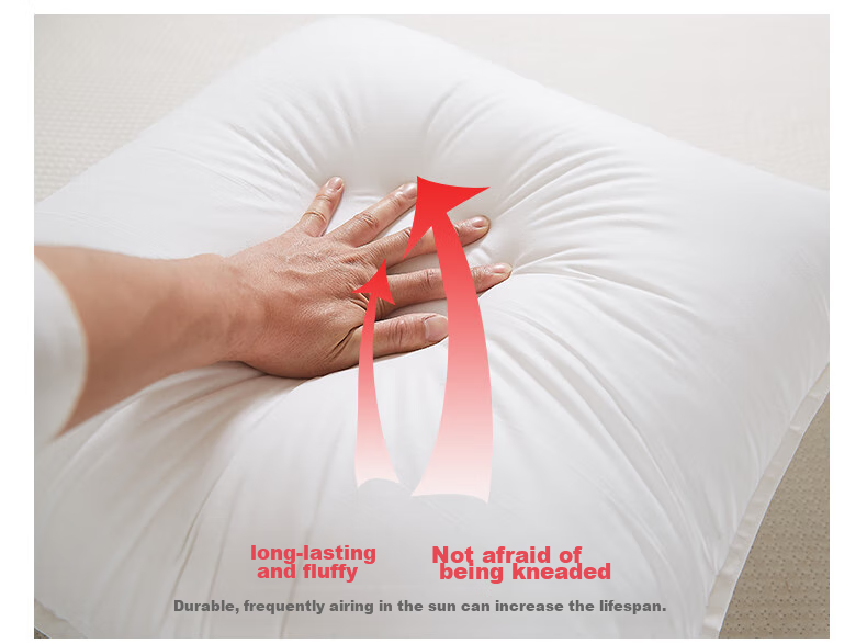 Hengyuanxiang Pure Cotton Pillow Insert, Backrest Cushion, Square Sofa Pillow, 50*50cm 5