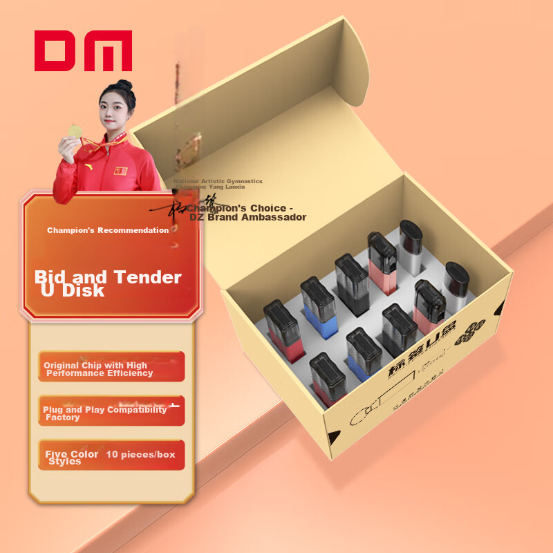 DM Daimai 4GB USB2.0 Flash Drive, Bidding USB Drive, PD208, Small Capacity Computer Label USB Drive for Bidding, 10 Pieces/box