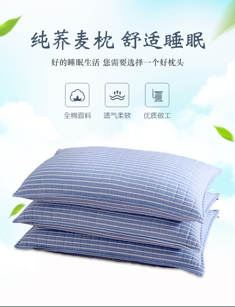 YALU & FREEDOM Pure Cotton Buckwheat Pillow, 100% All Buckwheat Hull Pillow Core, Adult Sleeping Cervical Spine Protection Pillow, 5 Jin (2.5 Kg), 46x72 Cm, Blue Patter 1
