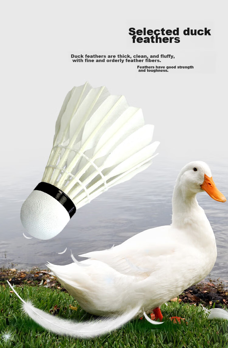 Li-Ning Badminton C80 New Packaging Duck Feather Shuttlecocks for Training And Competition, Durable, Stable Flight, One Tube of 12, Speed 77 3