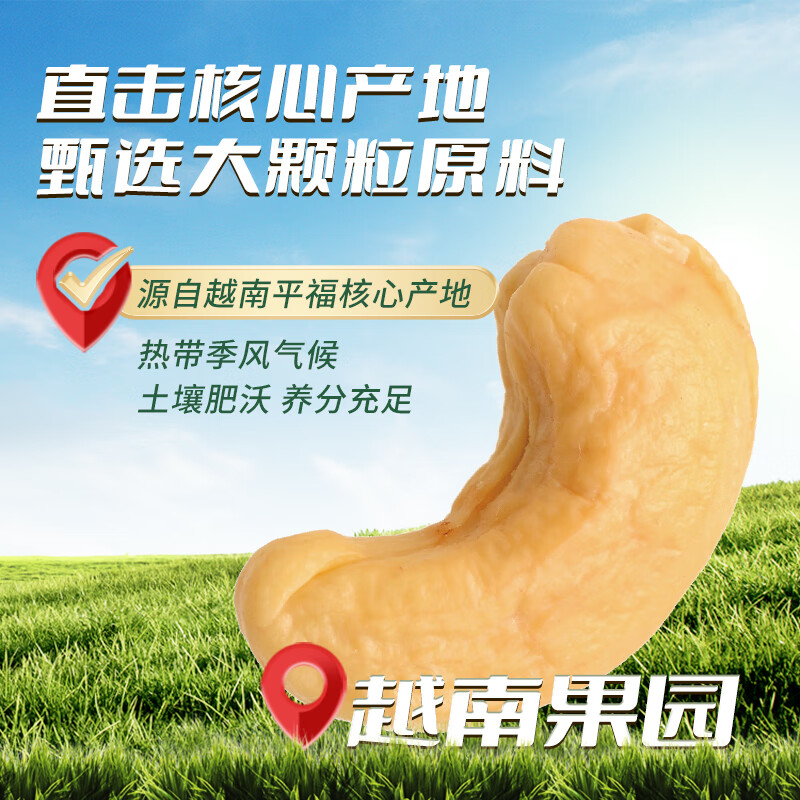 森宝XPLUS会员联名款 欧式炭烧腰果920g坚果零食福利送礼团购礼盒