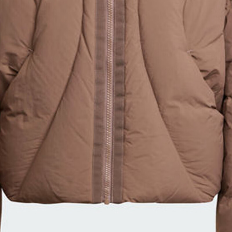 Adidas Women's Winter Regular Duck Down 600 Fill Power Blue Stand Collar down Jacket, JG5933 A/XL 11