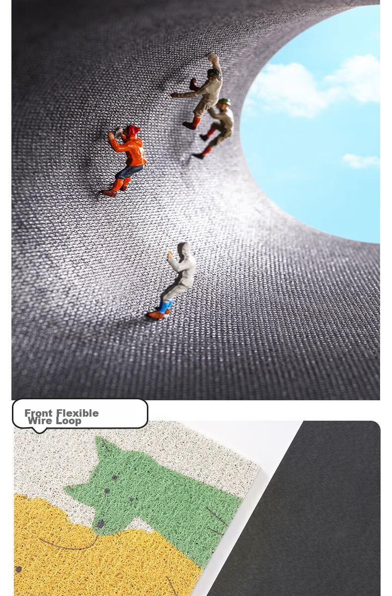 Qiqijia Entrance Door Mat, Home Use Non-Slip Foot Mat, Cartoon Silk Loop Doormat, Dirt-Scraping Door Mat, Entrance Mat 7