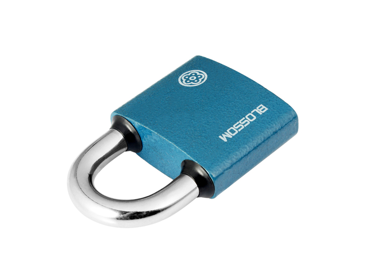 BLOSSOM Master Key Padlock Door Lock Power Lock Distribution Box Lock BC2938-1 Blue 38MM One Key Opens Multiple Locks 11
