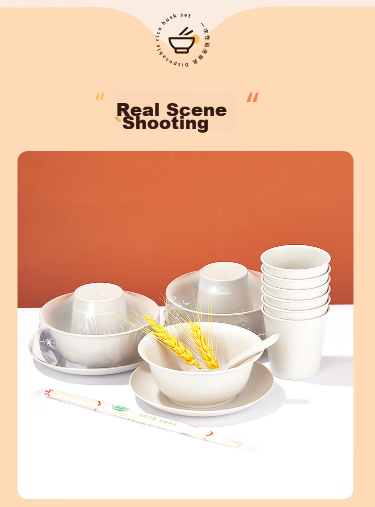 SHUANG YU Disposable Tableware Set for 10 People [Paper Cups + Paper Bowls + Chopsticks] Picnic Camping Disposable Tableware 12